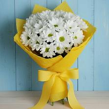 Букет цветов из:  Хризантемы в Пашию