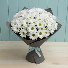 Букет цветов из:  Хризантемы в Пашию