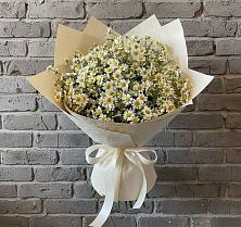 Букет цветов из:  Ромашки #REPLACE_PRED# Пашию