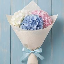 Букет цветов из:  Гортензия в Пашию