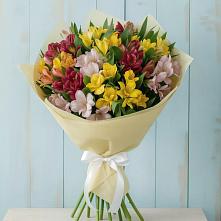 Букет цветов из:  Альстромерии в Пашию