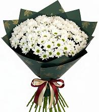 Букет цветов из:  Хризантемы в Пашию