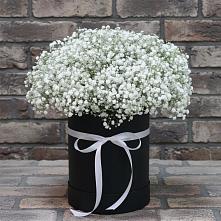 Цветочная композиция из Гипсофила в шляпной коробке #REPLACE_PRED# Пашию