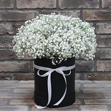 Цветочная композиция из Гипсофила в шляпной коробке в Пашию