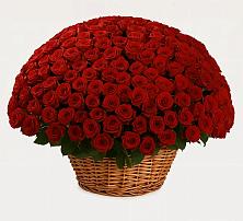 Премиум букет из: Розы в Пашию