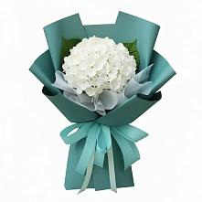 Букет цветов из:  Гортензия в Пашию